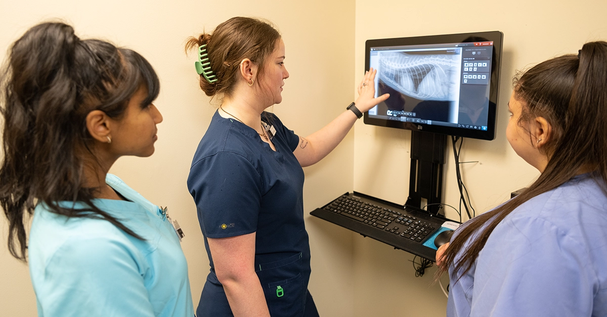 Students examine a spinal X-ray in the Vet Tech lab.