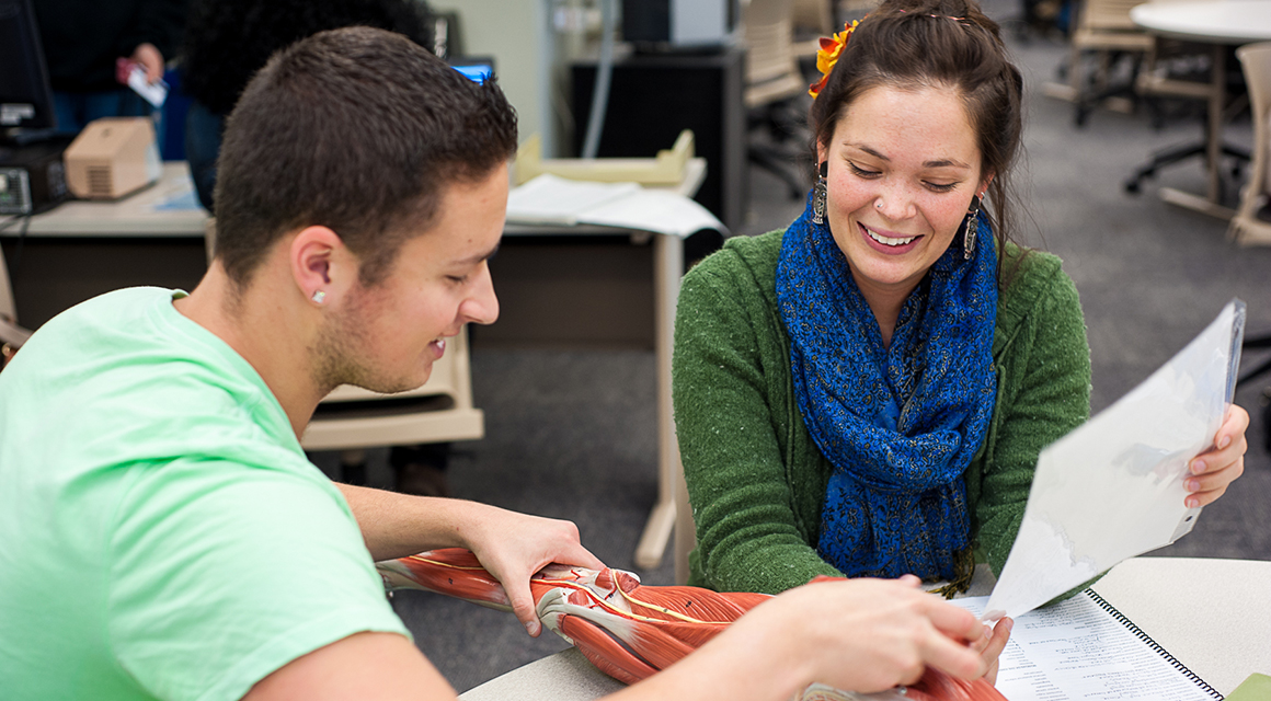A student mentors another on human anatomy.
